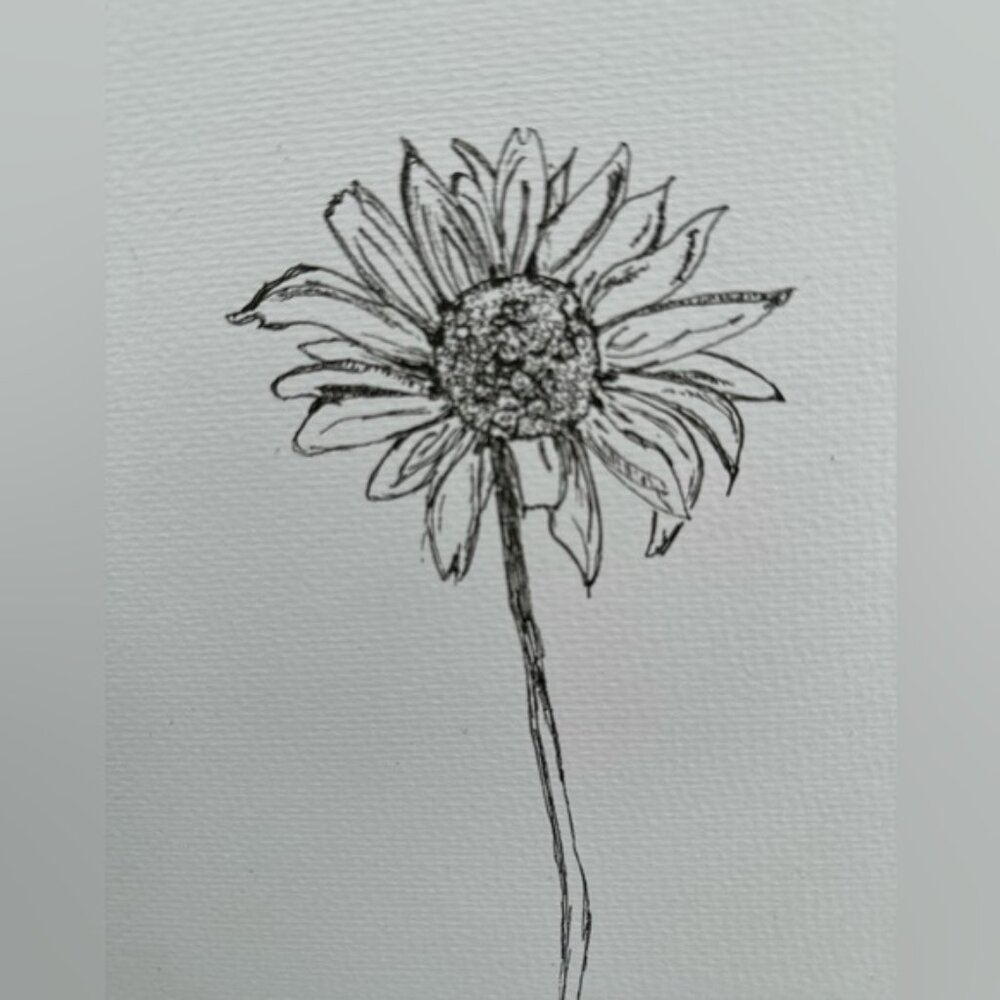Slower sketch original signed numbered muskoka spring.